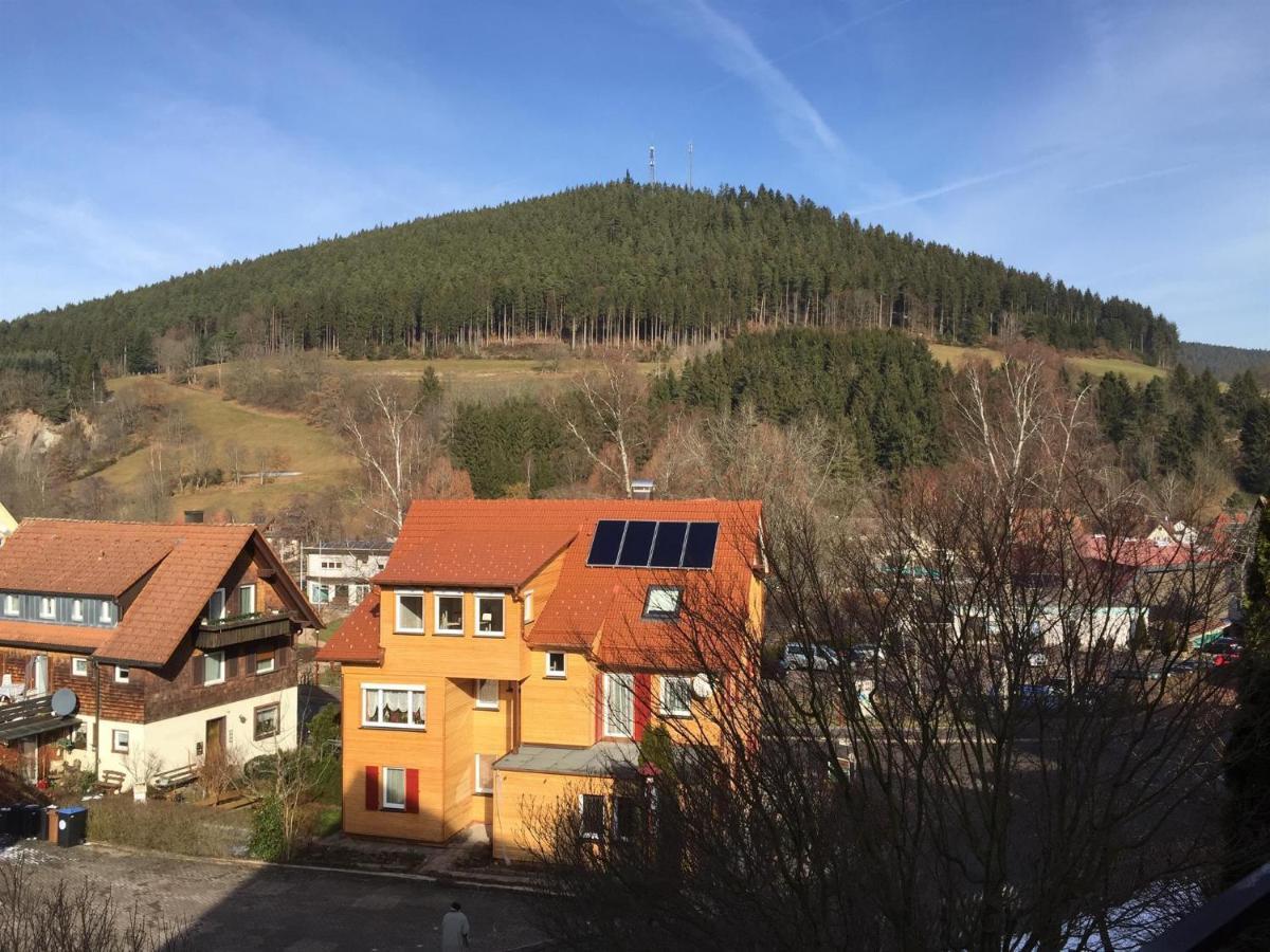 Apartment Friedel